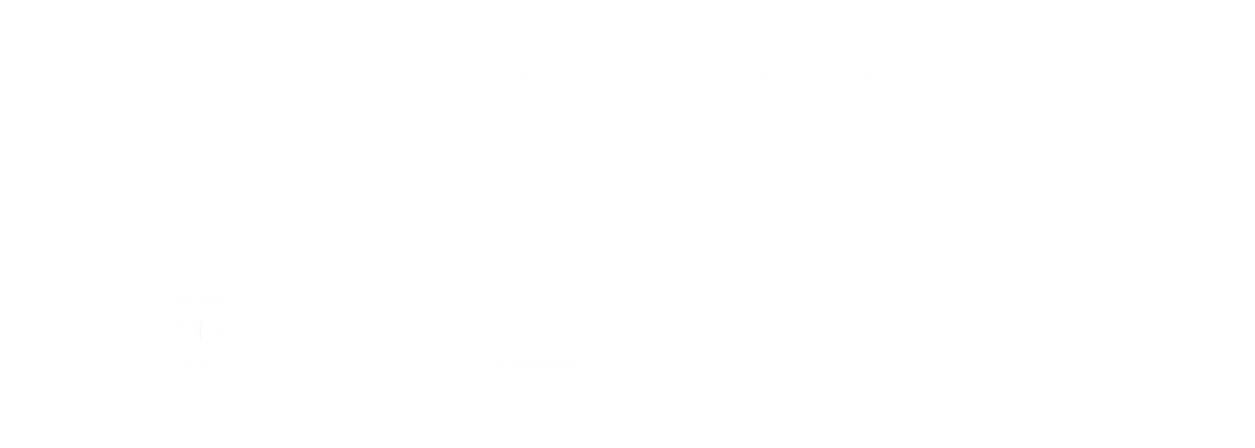 Big Logo