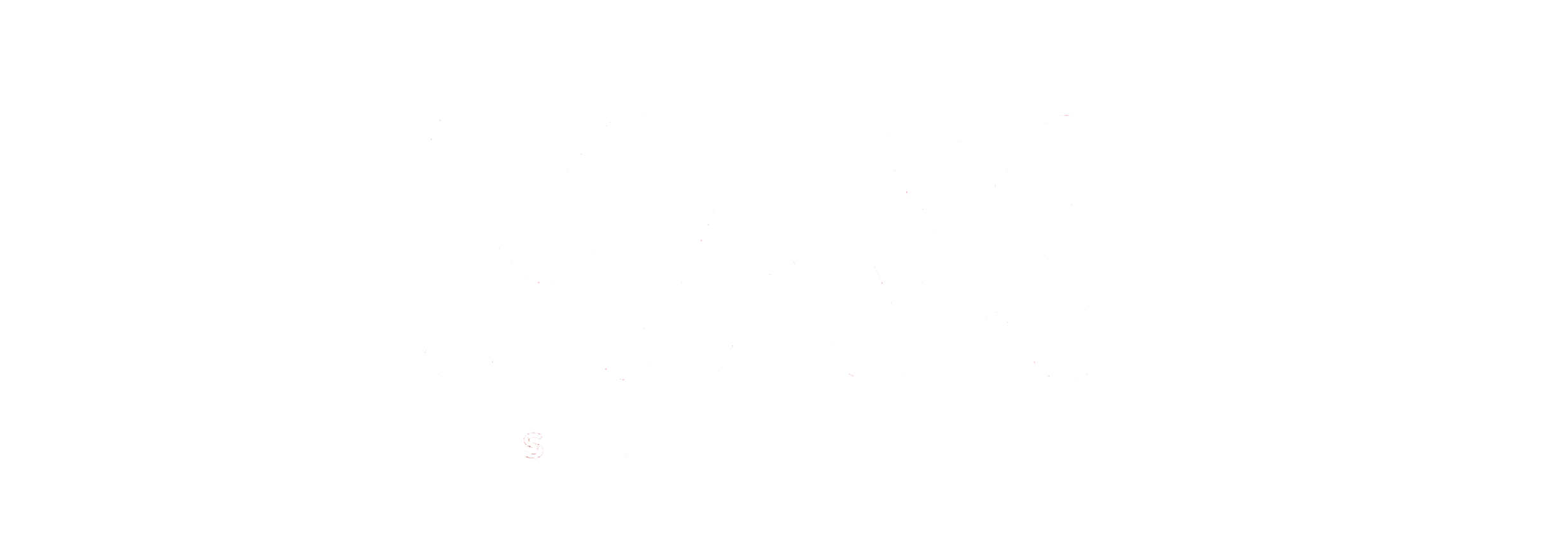 MAX STORES
